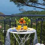 Fedora Sea&stars *